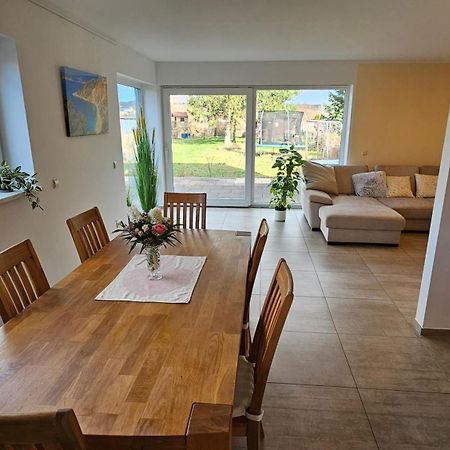 Sehr Schoenes Und Grosses Haus In Dresden - Partys Und Andere Feierlichkeiten Sind Wegen Eventueller Laermbelaestigung Nicht Gestattet المظهر الخارجي الصورة